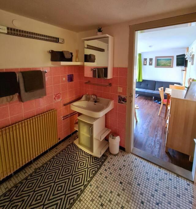 Idyllische Kleine Ferienwohnung Im Schwarzwald Friedenweiler Extérieur photo